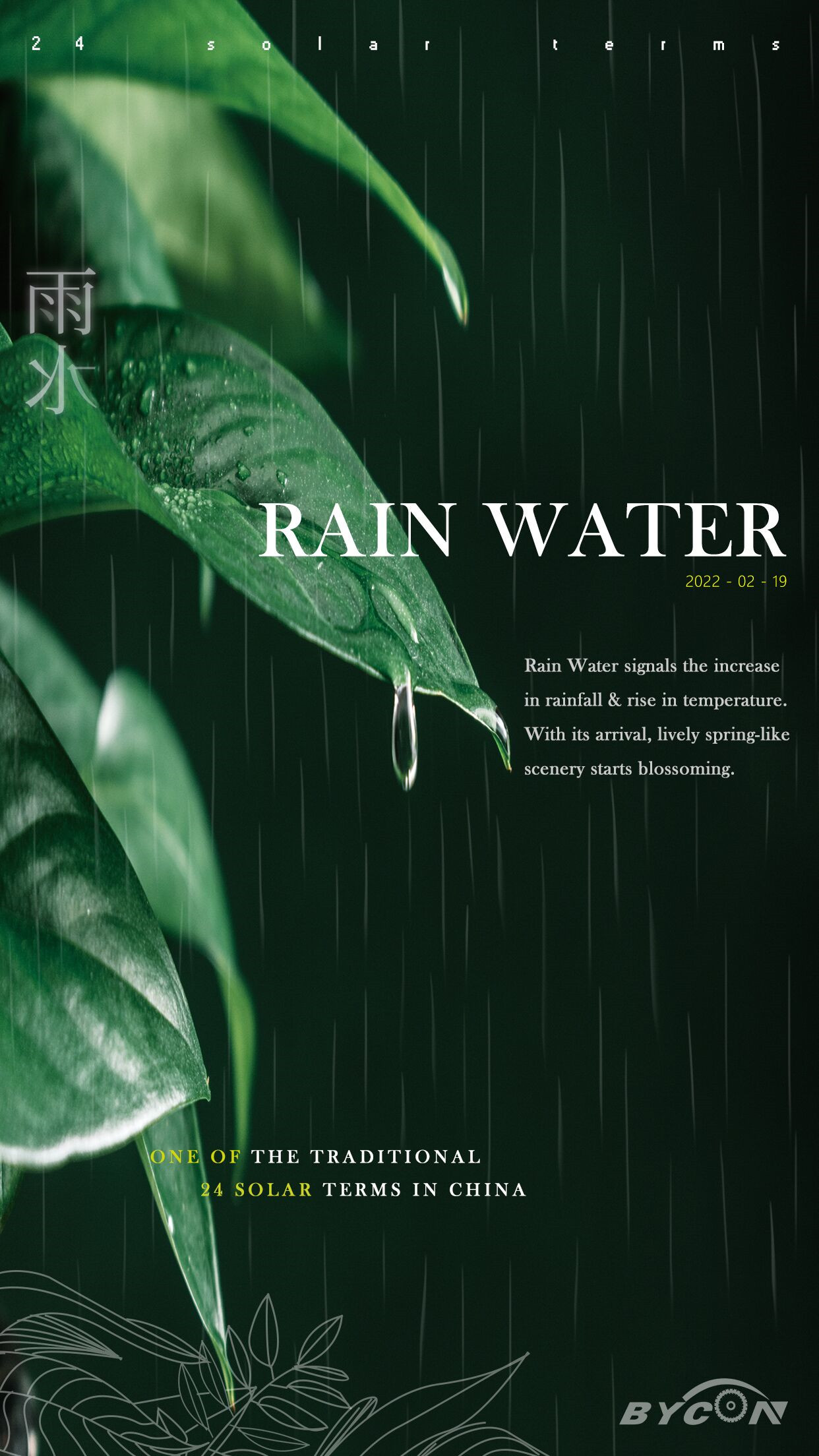 Rain Water